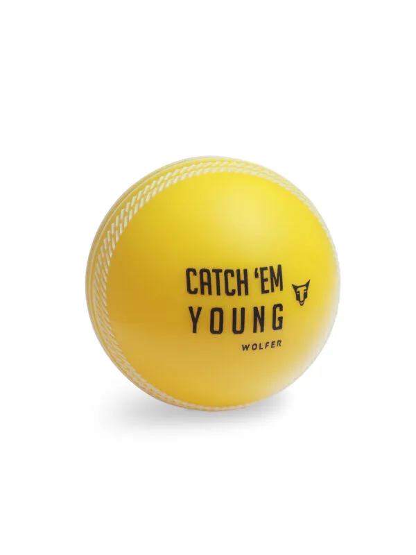 SG Cricket Ball