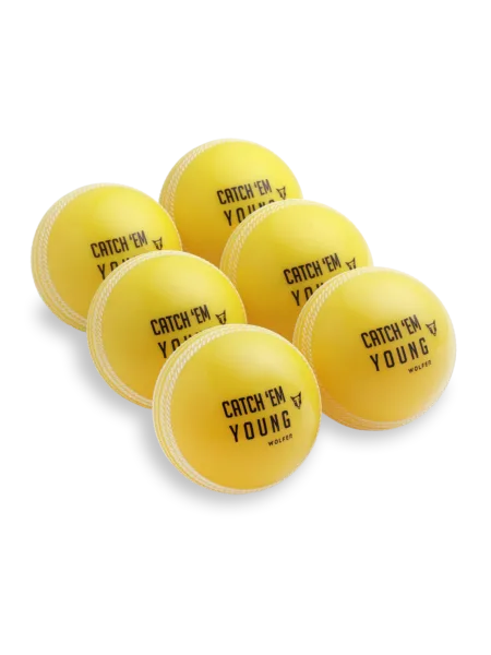 SG Cricket Ball