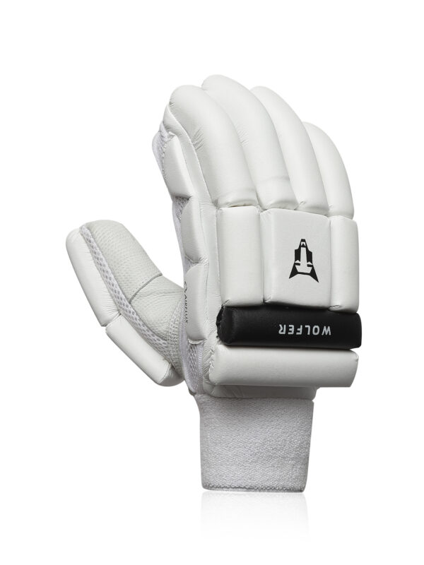 SG cricket gloves