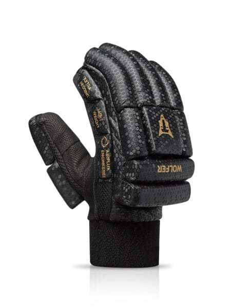 Cricket Batting Gloves Mysore