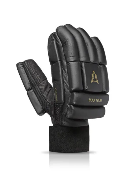 Cricket Batting Gloves SG