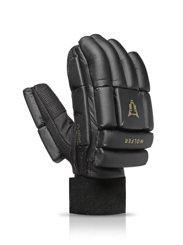 Cricket Batting Gloves SG
