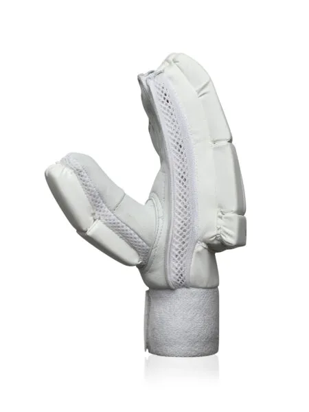 Cheap cricket glove