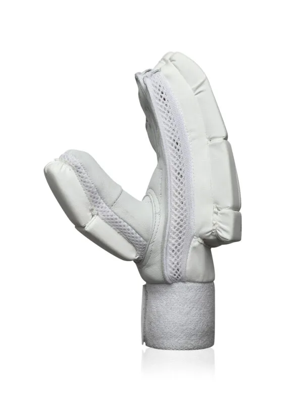 Cheap cricket glove
