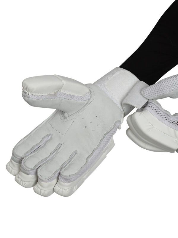 Best Cricket Gloves for academy players
