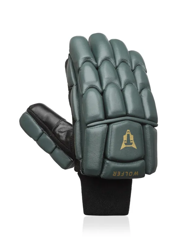 Cricket Batting Gloves