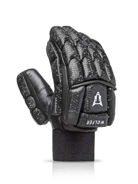 SG Cricket Gloves