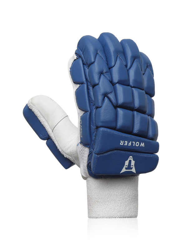 Best Cricket Batting Gloves India