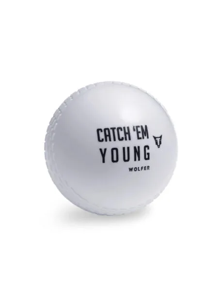 SG Cricket Ball