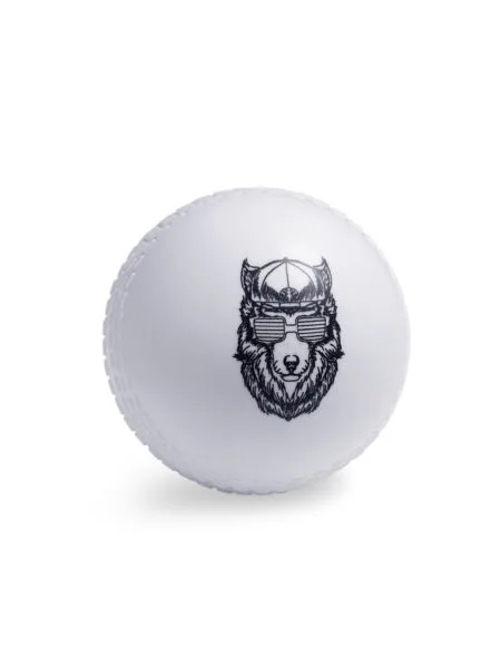 SG Cricket Ball