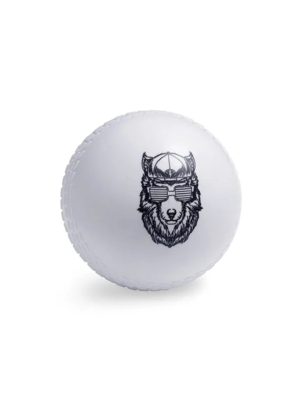 SG Cricket Ball