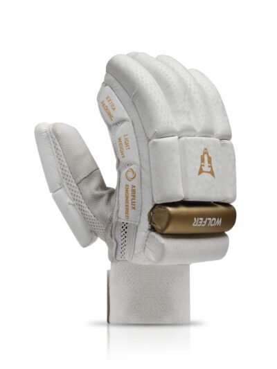 SG Cricket Gloves
