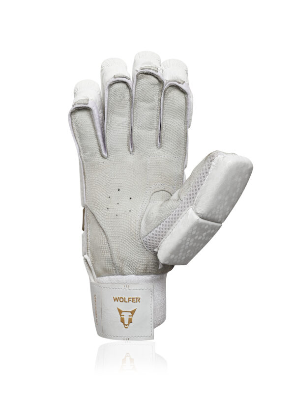 Breathable cricket batting gloves with mesh ventilation for comfort during intense matches.