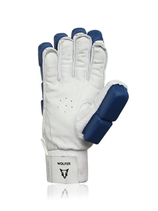 Best Cricket Batting Gloves India