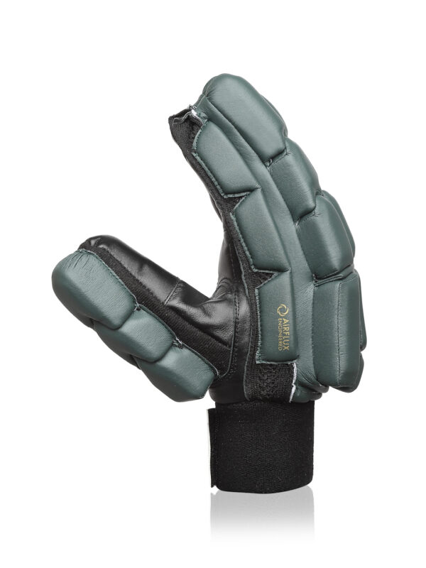 Cricket Batting Gloves