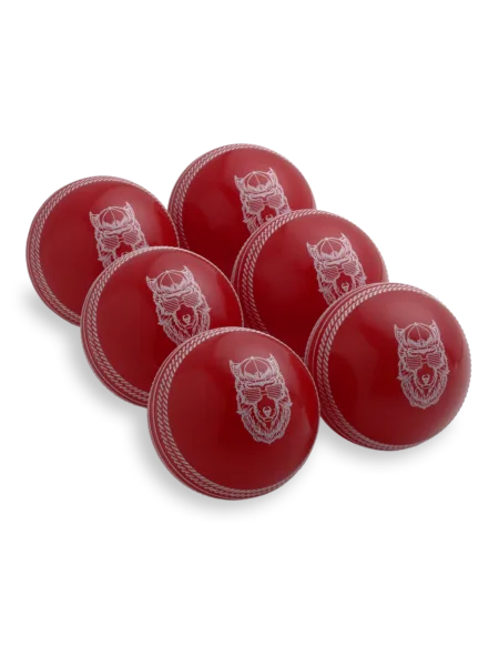 SG Cricket Ball