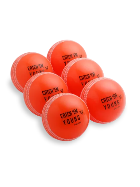 SG Cricket Ball