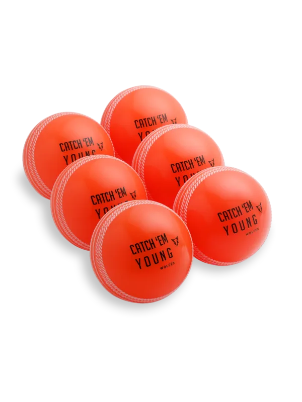 SG Cricket Ball