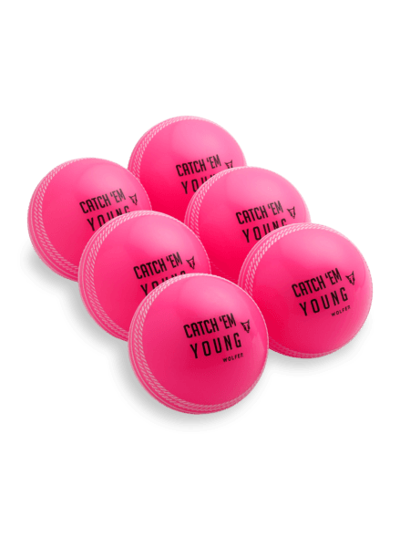 SG Cricket Ball