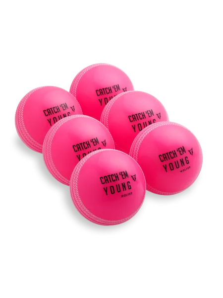 SG Cricket Ball