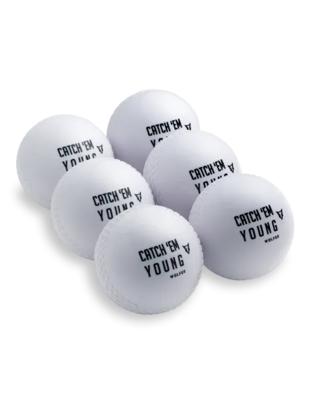 SG Cricket Ball