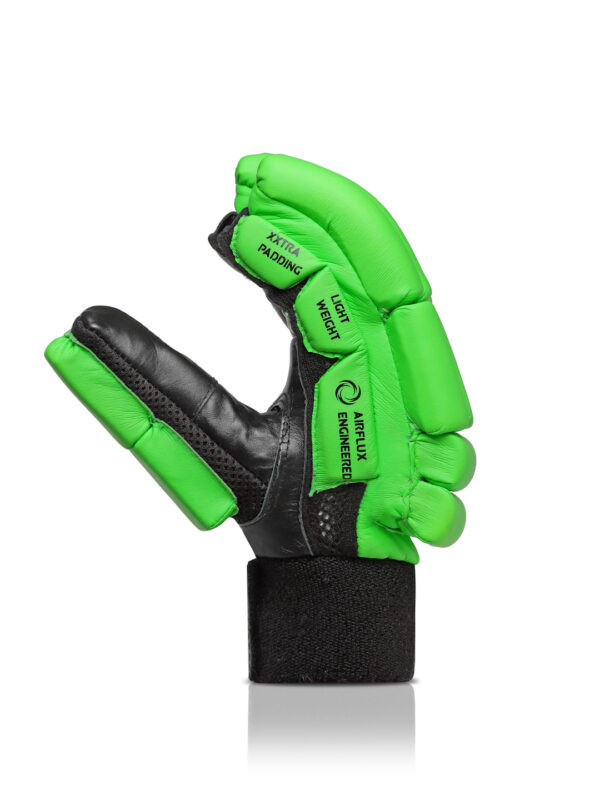 Cricket Batting Gloves