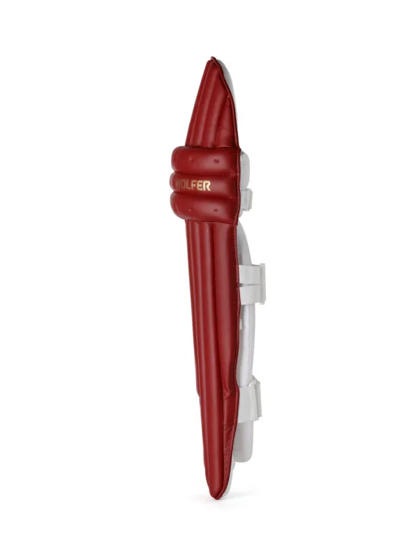 Men's cricket batting leg guards with reinforced protection and lightweight design for optimal performance.