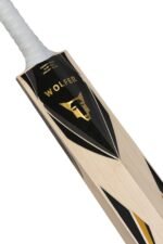 TARSIER GRADE 3 ENGLISH WILLOW CRICKET BAT - Image 2