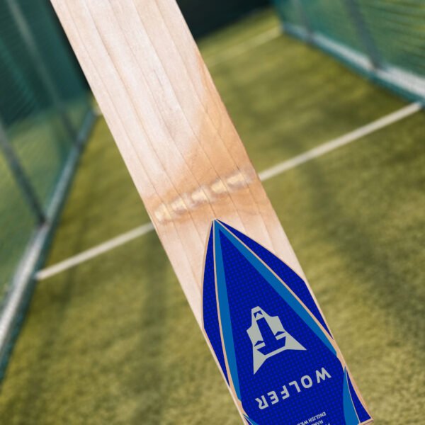 Wolfer Daggerwing Grade 2 Butterfly English Willow Cricket Bat – Light Weight Thick Edge