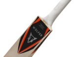 LEOPON GRADE 2 ENGLISH WILLOW CRICKET BAT - Image 2