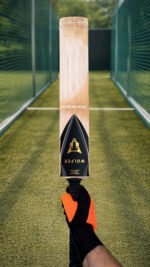 Wolfer Monarch Grade 1 Butterfly English Willow Cricket Bat – Hidden Gem, Tight Grains, Low Price High Performance Willow