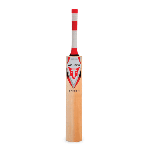 SPIDON KASHMIR WILLOW CRICKET BAT