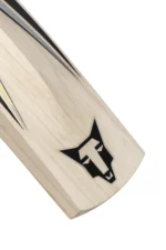Close-up of Wolfer Leopon cricket bat toe and willow grains