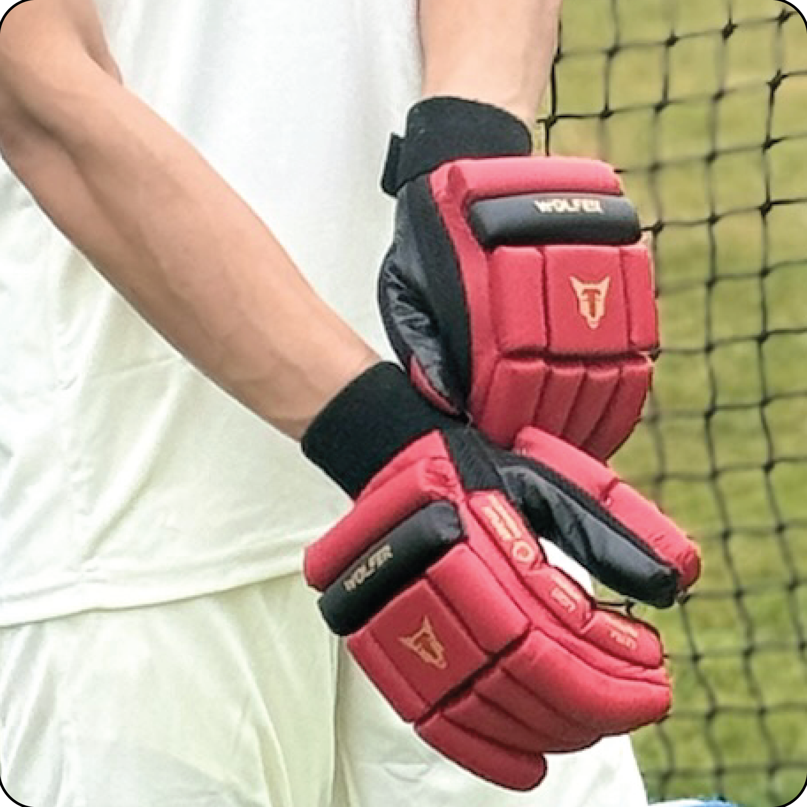 Wolfer cricket batting gloves