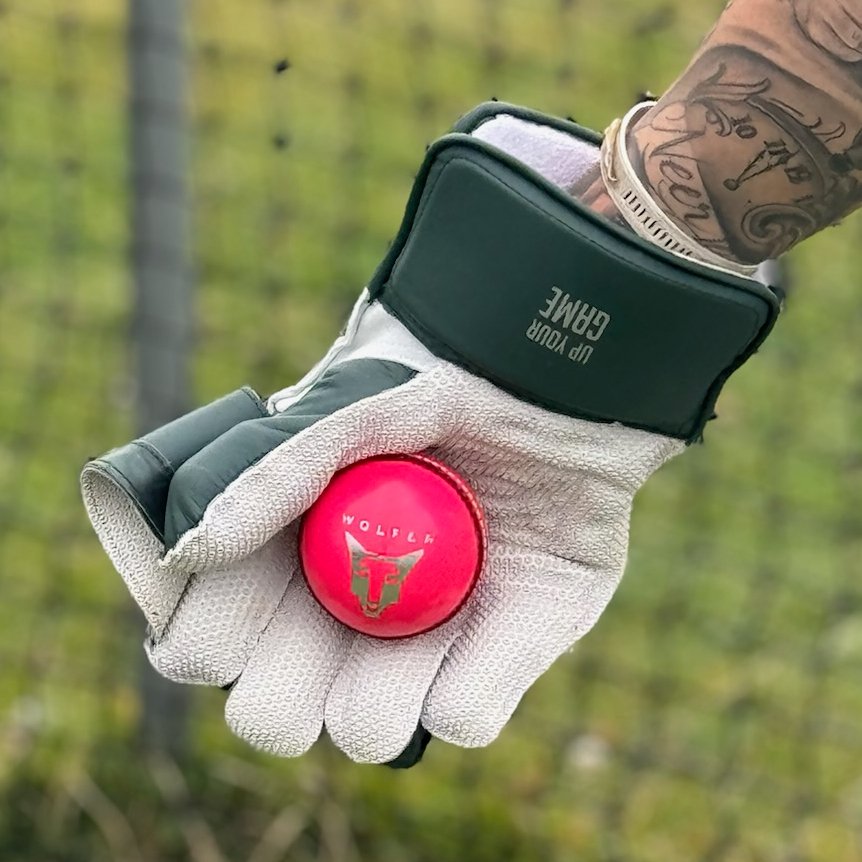 Wolfer cricket leather balls