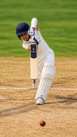 Wolfer Goshawk Junior Grade 1 English Willow Cricket Bat