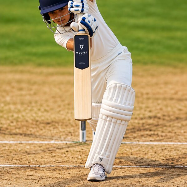 Wolfer Goshawk Junior Grade 1 English Willow Cricket Bat